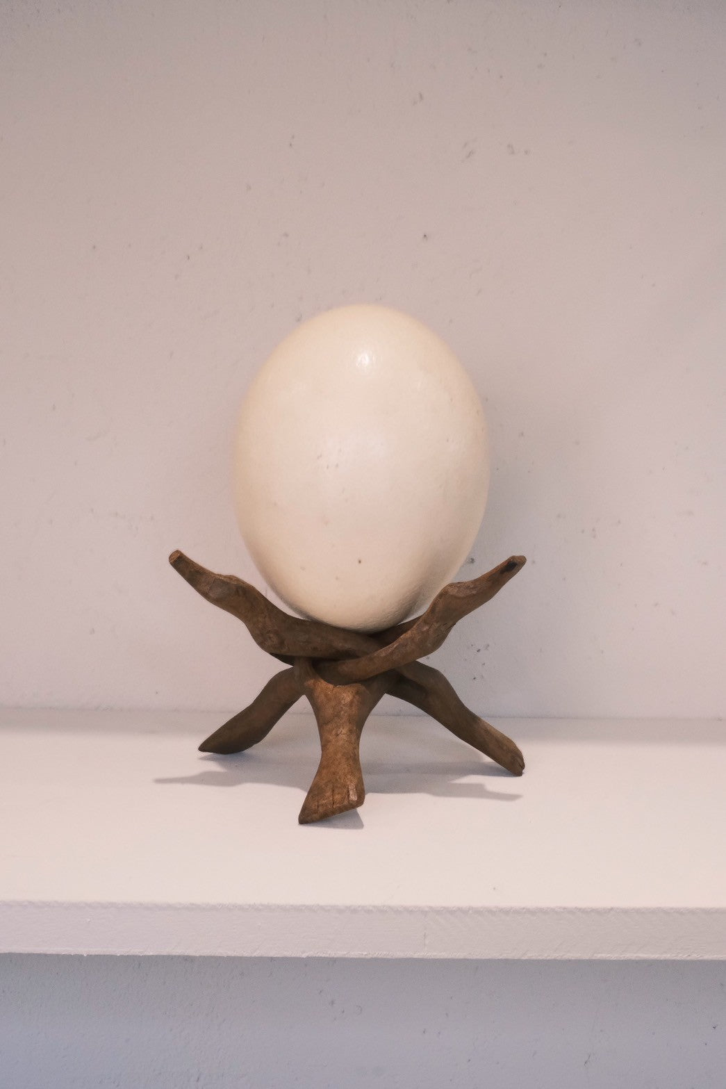 Antique Ostrich Egg with Wooden Stand